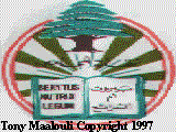 Flag Logo